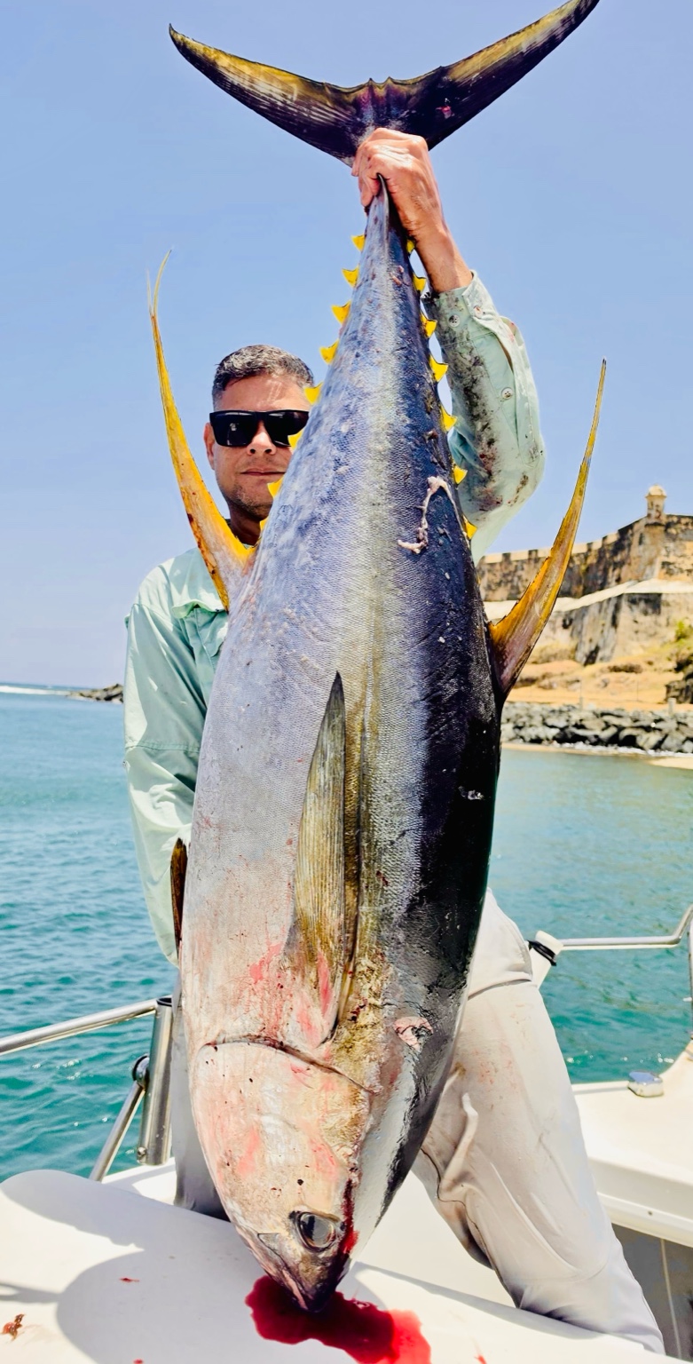 Yellowfin tuna fishing Puerto Rico