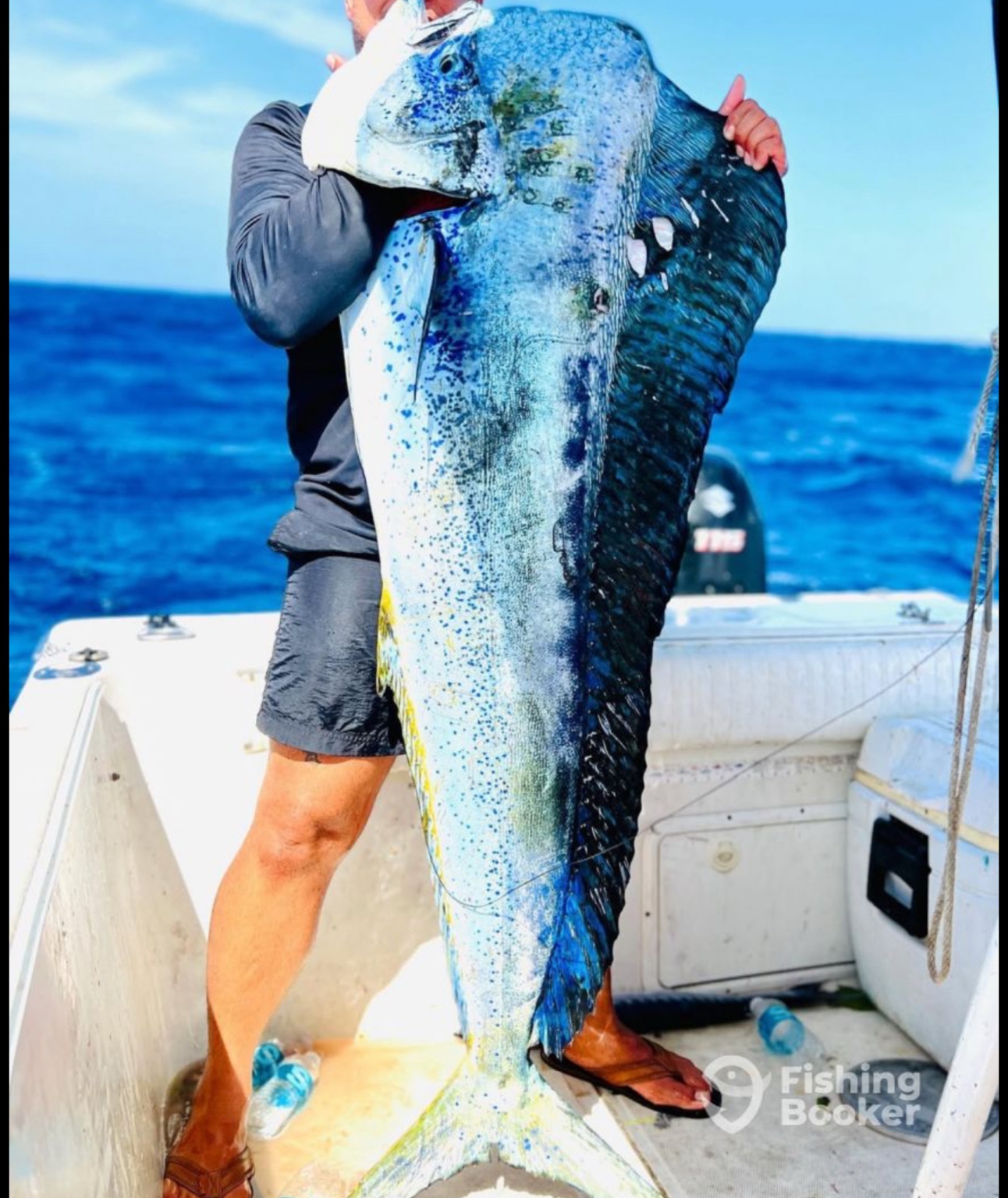 Large mahi-mahi caught offshore in Puerto Rico